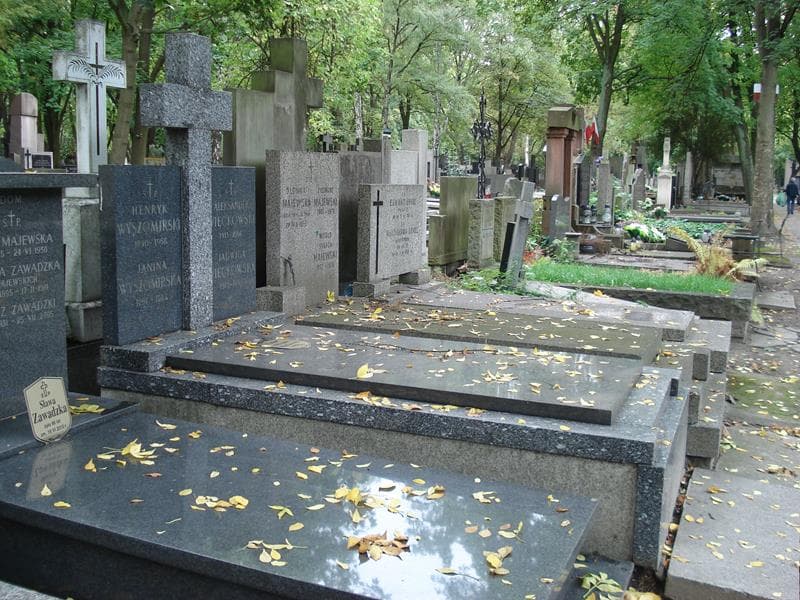 Zdjęcie grobu: Henryk Wyszomirski