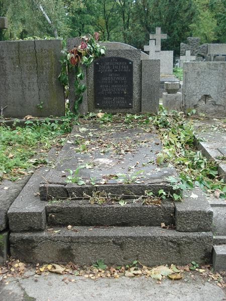Zdjęcie grobu: Irena Jaroszyńska