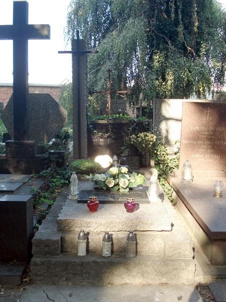 Zdjęcie grobu Ludwik Dramiński (1)