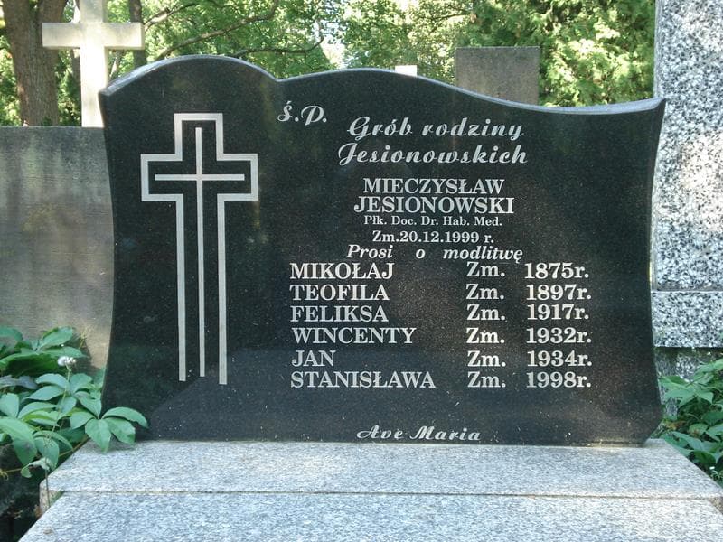 Zdjęcie grobu Feliksa Jesionowska (2)