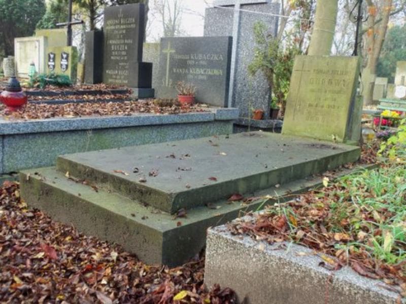 Zdjęcie grobu Roman Juljan Borowy (1)