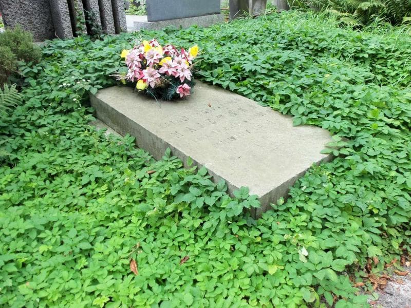 Zdjęcie grobu Natalja Majewska (2)