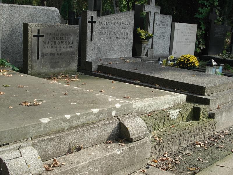 Zdjęcie grobu Zygmunt Wachowski (1)