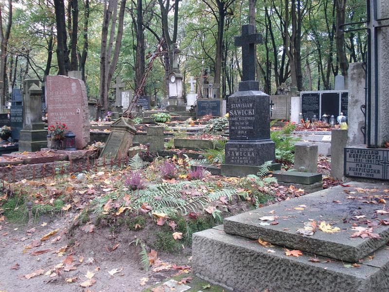 Zdjęcie grobu Stanisław Sawicki (1)