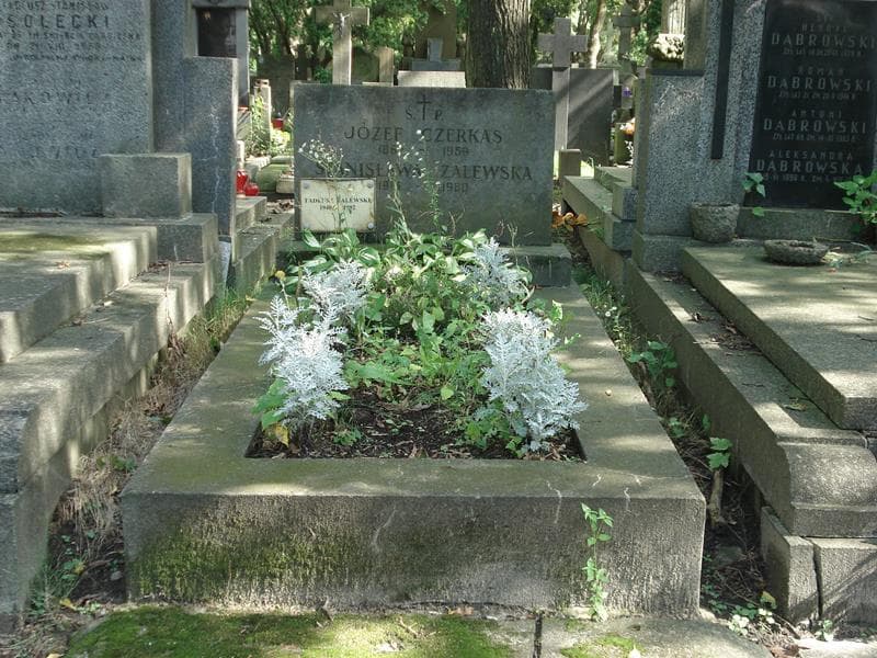 Zdjęcie grobu: Józef Czerkas