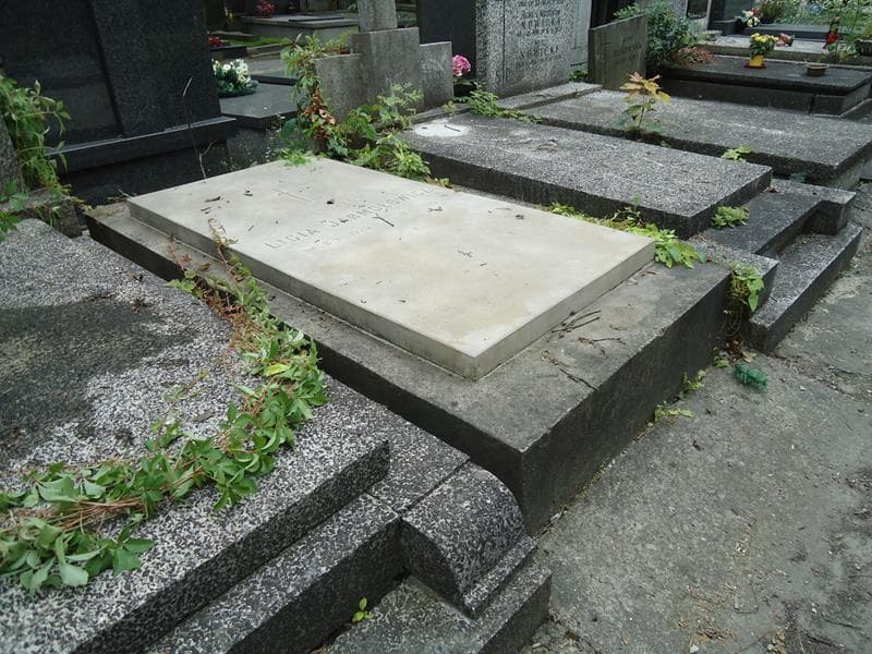 Zdjęcie grobu Licia Jarmołowicz (2)