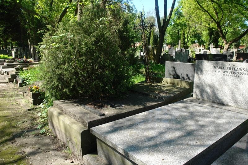 Zdjęcie grobu Dymitr Kościesza - Dylewski (1)