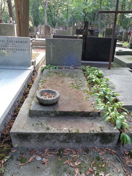 Zdjęcie grobu Józefa Ciodyk (1)