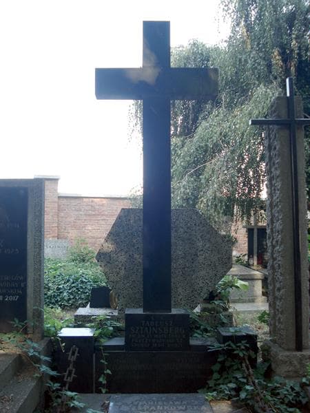 Zdjęcie grobu Franciszek Szczepankowski (2)
