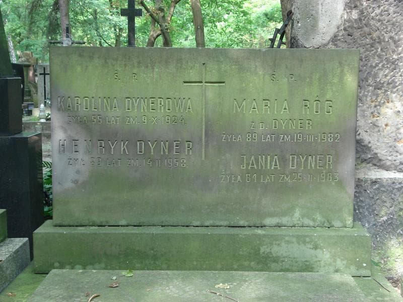 Zdjęcie grobu Henryk Dyner (2)