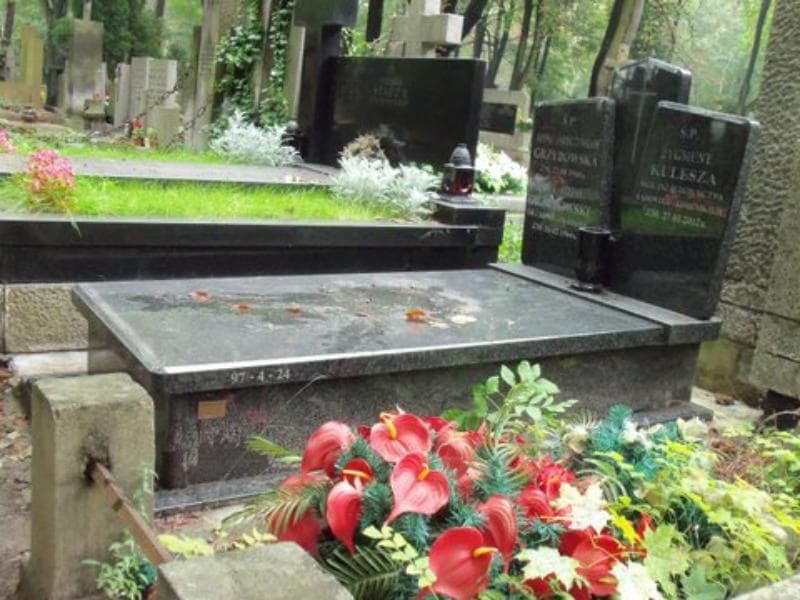 Zdjęcie grobu Zygmunt Kulesza (1)