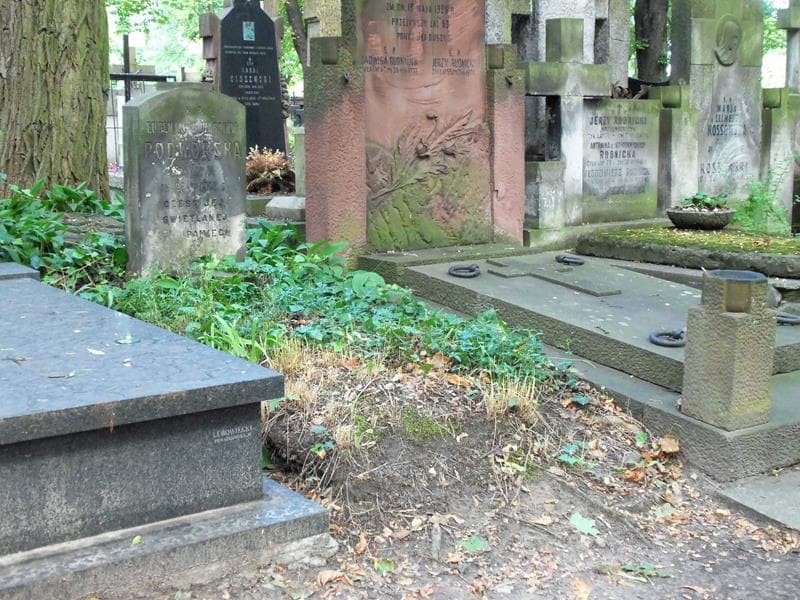 Zdjęcie grobu Eugenja Podworska (1)