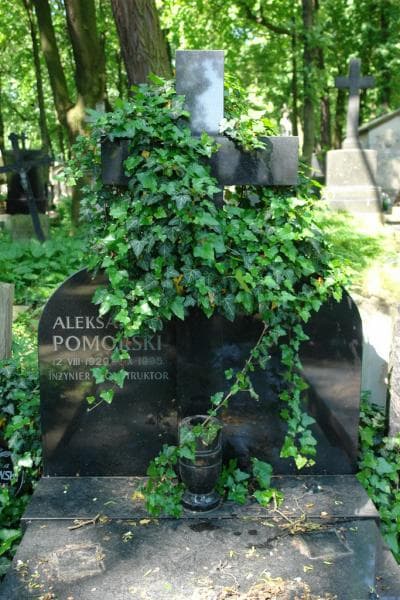 Zdjęcie grobu Alksander Pomorski (2)