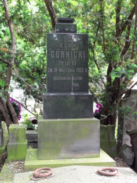 Zdjęcie grobu Adam Górnicki (2)