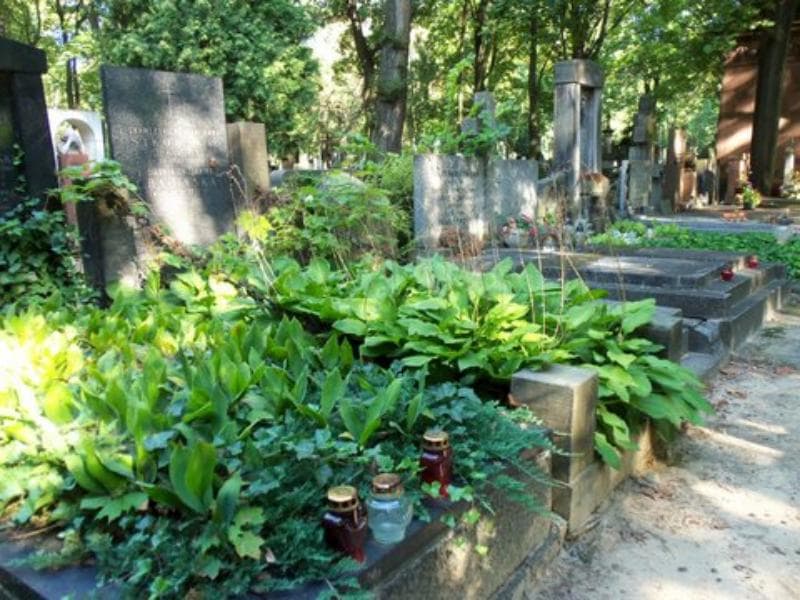 Zdjęcie grobu Janina Chacińska (1)