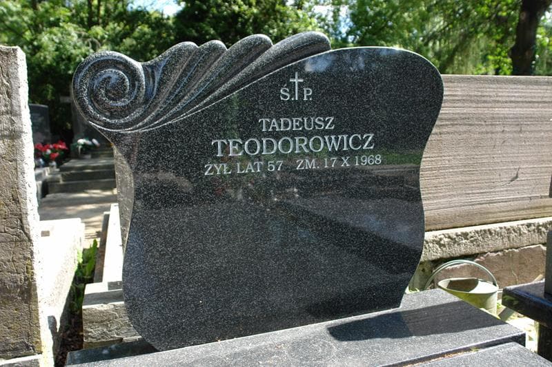 Zdjęcie grobu Tadeusz Teodorowicz (2)