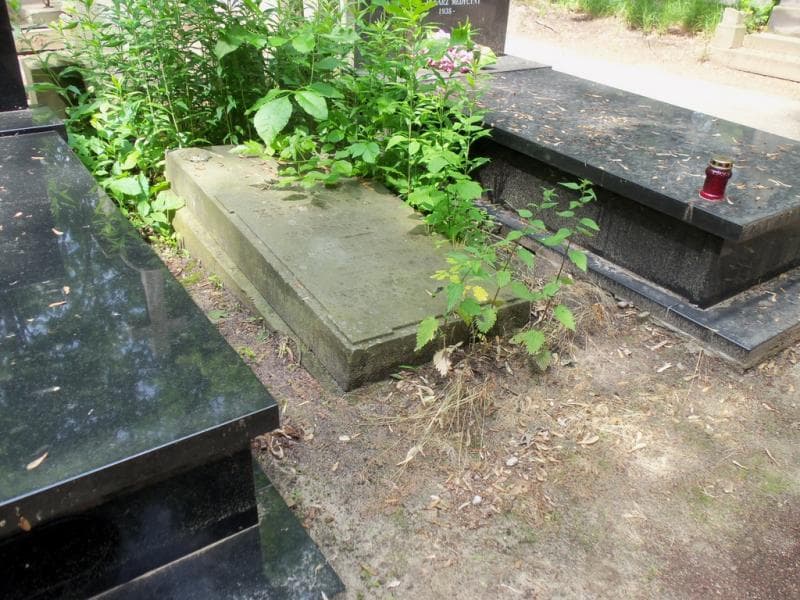 Zdjęcie grobu Julja Kuczewska (1)