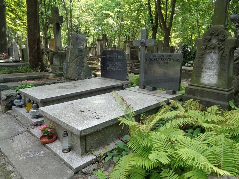 Zdjęcie grobu: Andrzej Przybylski