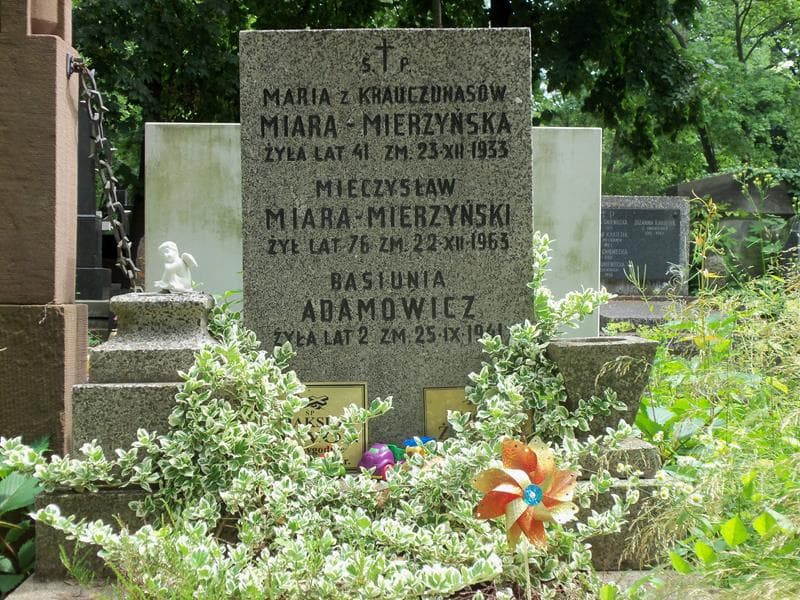 Zdjęcie grobu Alodia Żeromska (2)