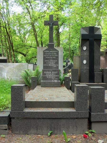 Zdjęcie grobu: Władysław Cieślicki