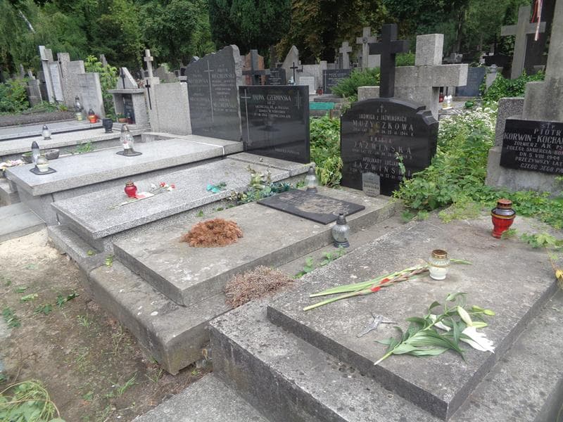 Zdjęcie grobu: Aniela Jaźwińska