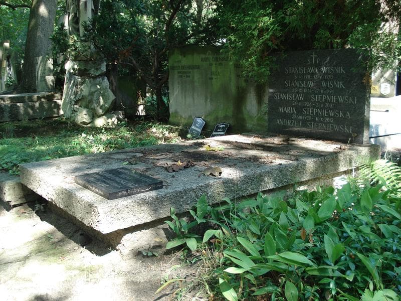 Zdjęcie grobu Maria Stępniewska (1)
