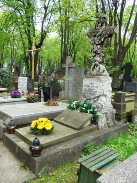 Zdjęcie grobu Karol Kurkowski (1)