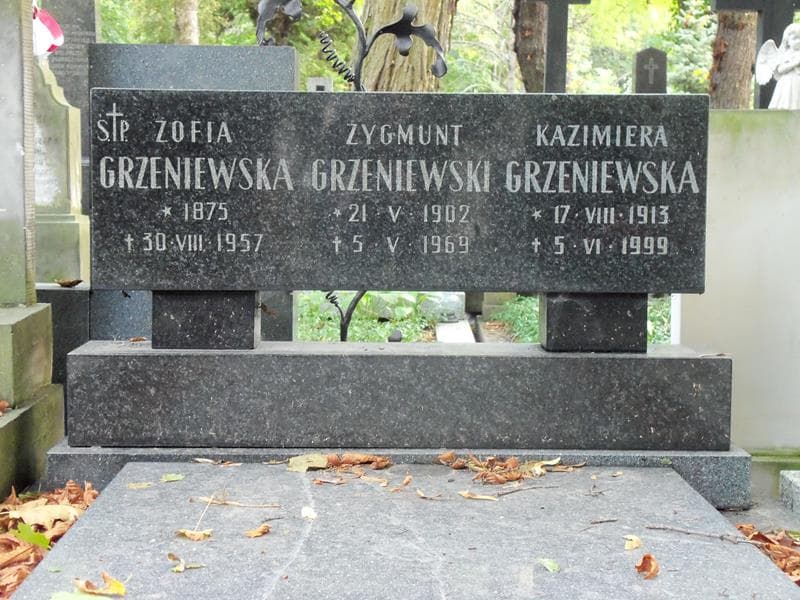 Zdjęcie grobu Zygmunt Grzeniewski (2)