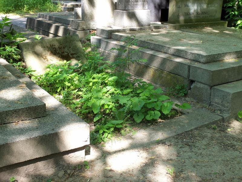Zdjęcie grobu Bronisława Słomka (1)