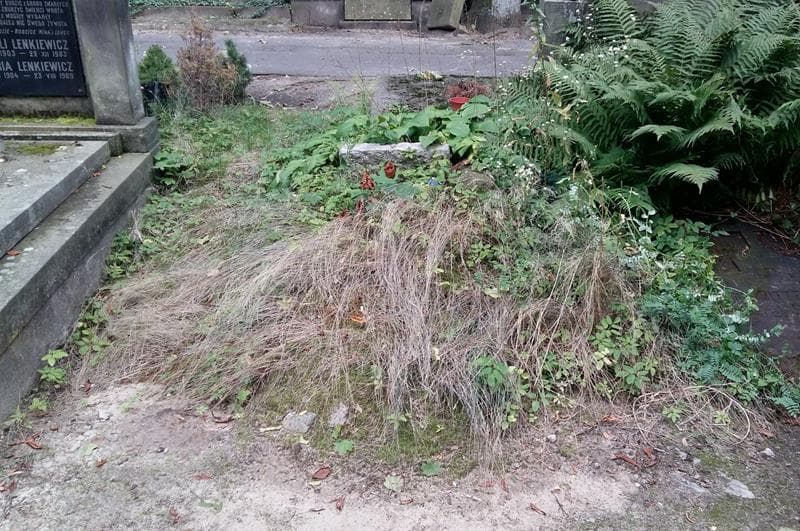 Zdjęcie grobu: Pole Grobowe