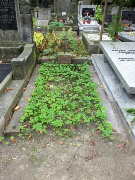Zdjęcie grobu: Brunon Ruczyński