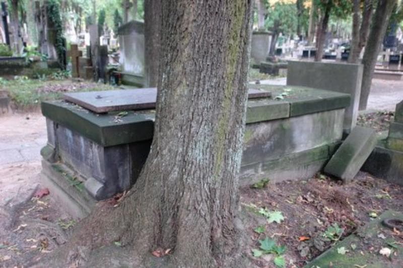 Zdjęcie grobu Apolonjusz Nieniewski (2)