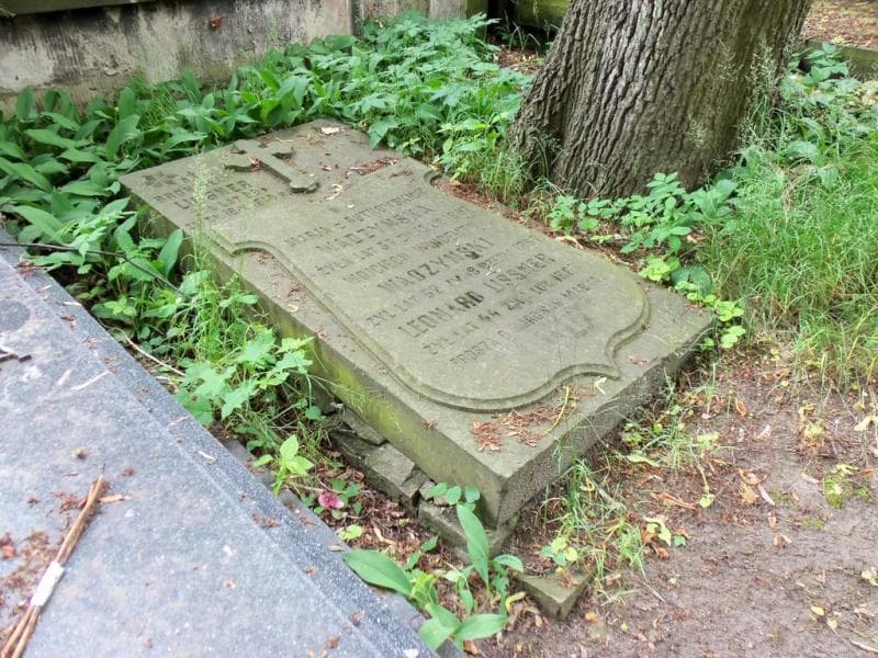 Zdjęcie grobu Wojciech Wincenty Wadzyński (2)