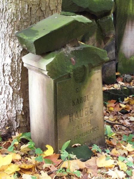 Zdjęcie grobu Karol Haube (2)