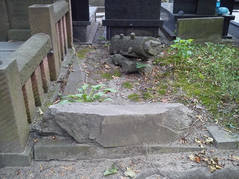 Zdjęcie grobu Bronisław Teliński (1)