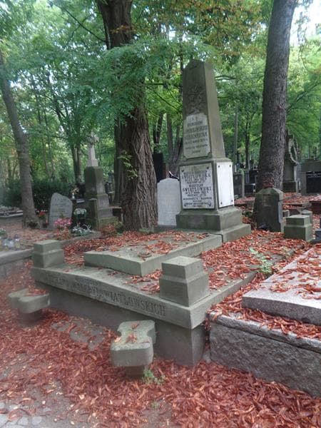 Zdjęcie grobu: Bronisław Młodzianowski