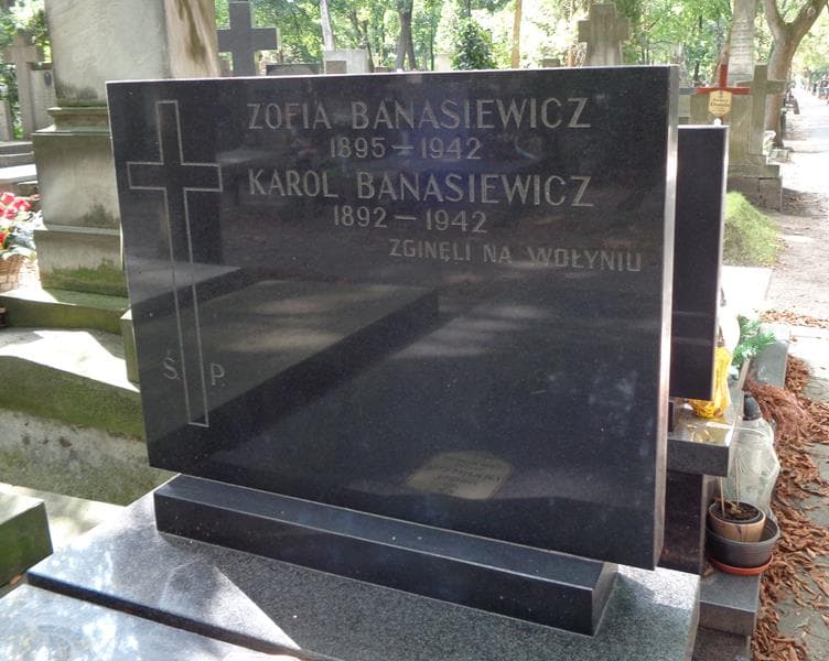 Zdjęcie grobu Karol Banasiewicz (2)