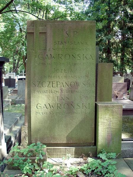 Zdjęcie grobu Józefa Szczepanowska (2)