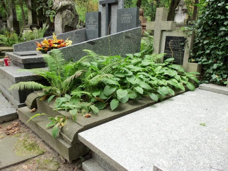 Zdjęcie grobu Zygmunt Makólski (1)