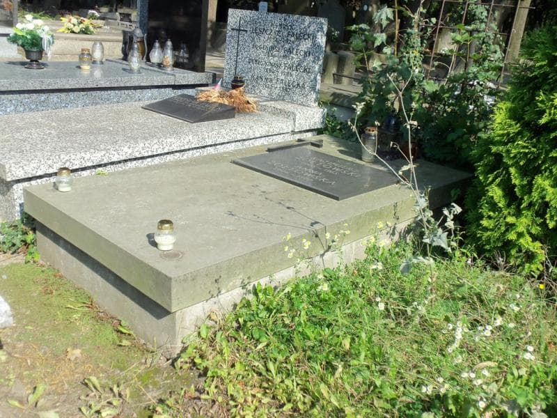 Zdjęcie grobu Kazimierz Żółtowski (1)