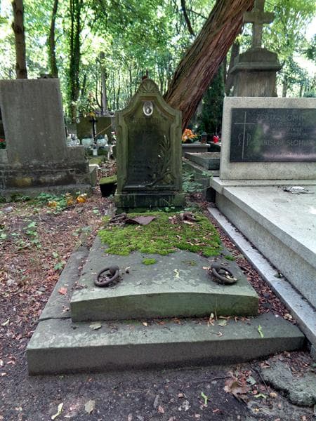 Zdjęcie grobu Józef Trzeciak (1)