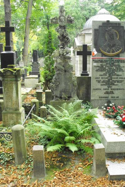 Zdjęcie grobu: Władysław Liniewicz