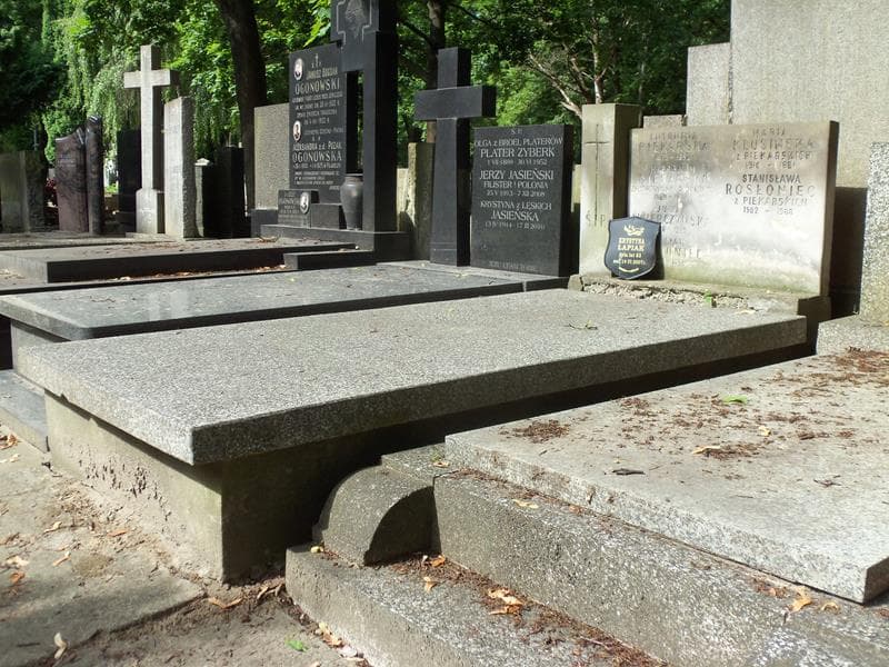 Zdjęcie grobu Hieronim Piekarski (1)