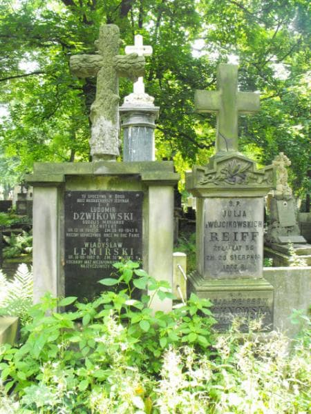 Zdjęcie grobu Ludomir Dżwikowski (1)