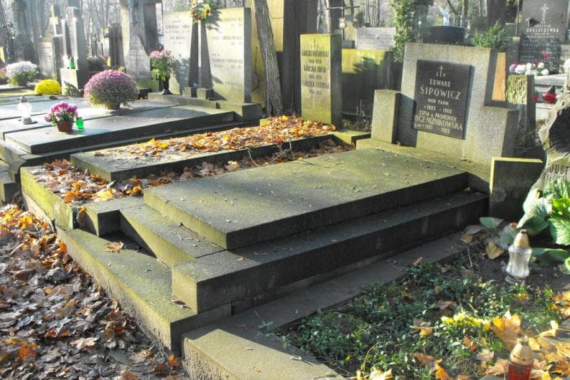 Zdjęcie grobu Zofia Nycz-Niźnikowska (1)