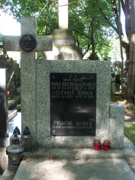 Zdjęcie grobu Stefania Borek (2)