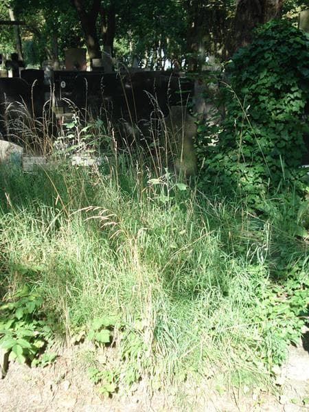 Zdjęcie grobu: Aleksander Wołowski