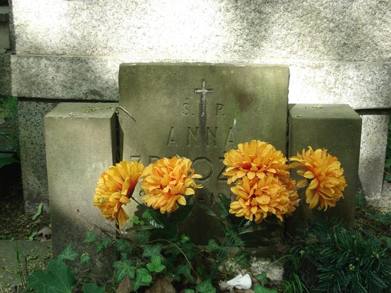 Zdjęcie grobu Anna Zbrożek (1)