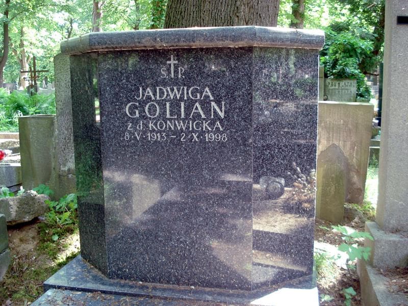 Zdjęcie grobu Jadwiga Golian (1)