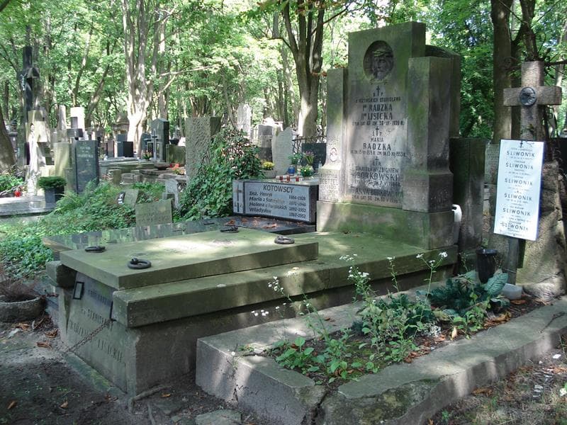 Zdjęcie grobu Anna Borkowska (1)
